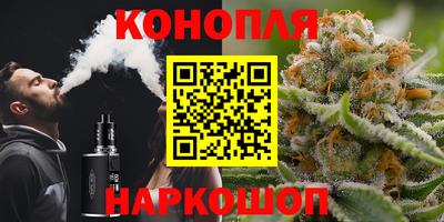 mdpv Рыбинск